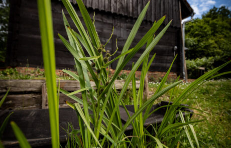 ferienhaus-spreewald-cosy-lehde-03 Ferienhaus im Spreewald für 8 Erwachsene, 4 Schlafzimmer, direkt am Fließ