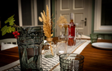 ferienhaus-spreewald-cosy-lehde-06