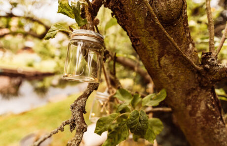 ferienhaus-spreewald-cosy-lehde-23